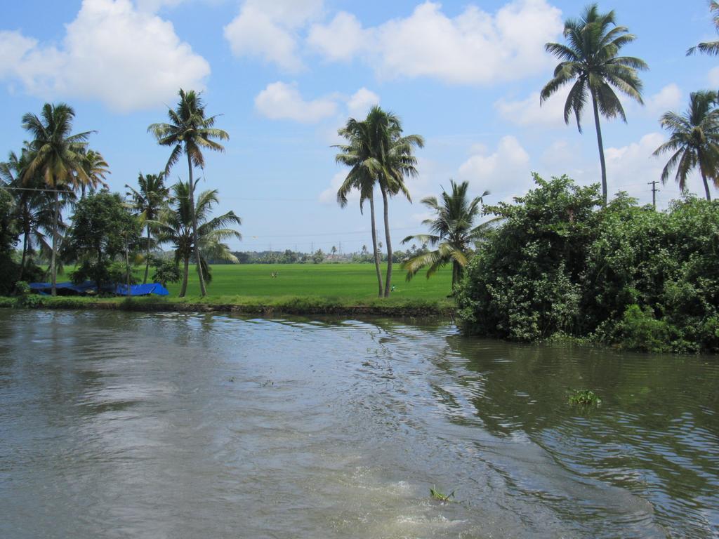 Marari Dreamz Vila Alappuzha Quarto foto