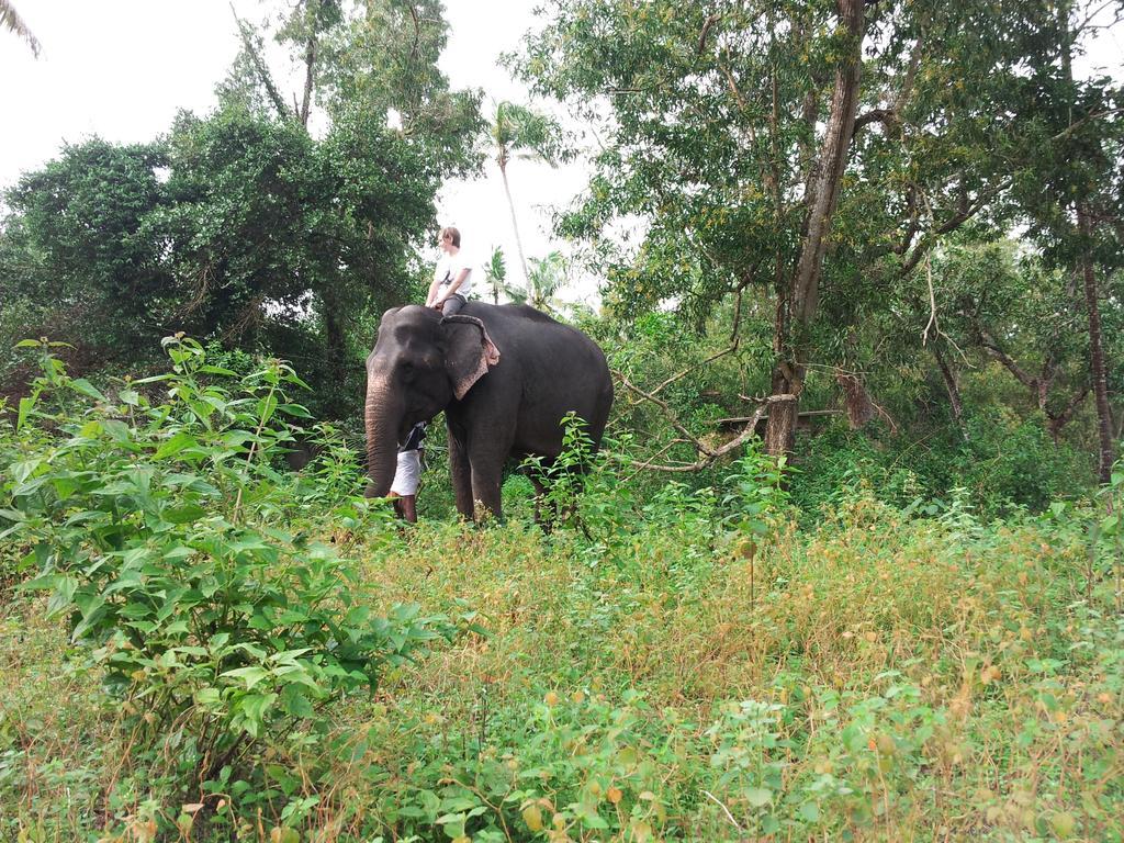 Marari Dreamz Vila Alappuzha Quarto foto
